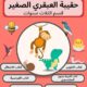 سلسلة العبقري الصغير + كتب إدارة رياض الأطفال